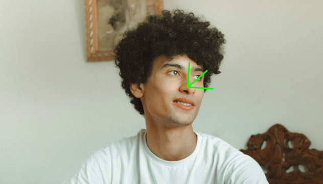 Head pose estimation