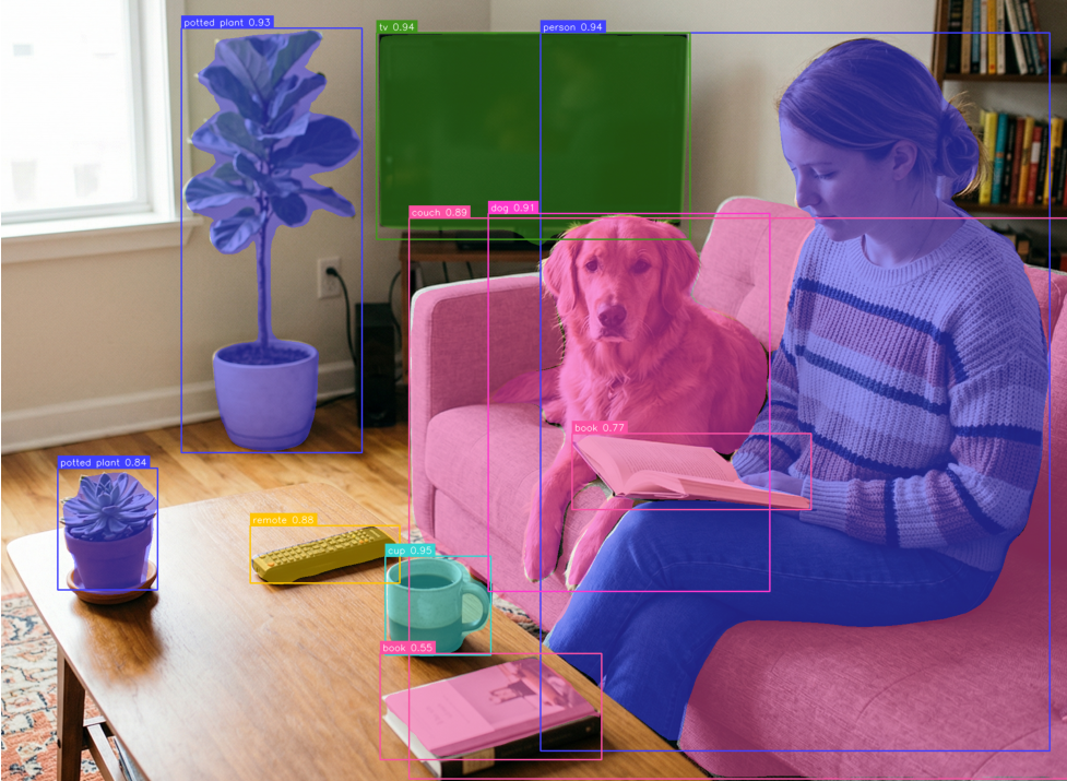RF-DETR Nano Instance Segmentation