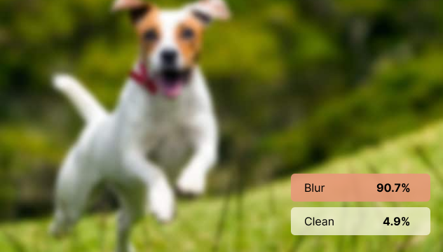 Image Quality Assessment