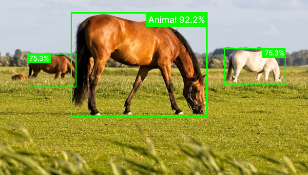 WildLife MegaDetector